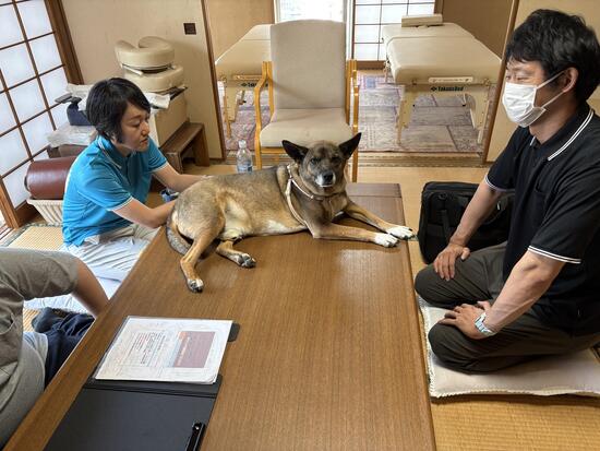 研修と犬1.JPG